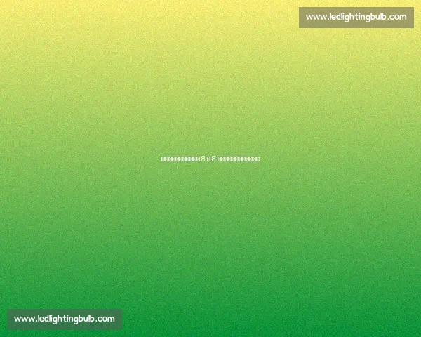 申花后卫金顺凯婚讯官宣 8 月 8 日领证婚纱照花絮甜度拉满