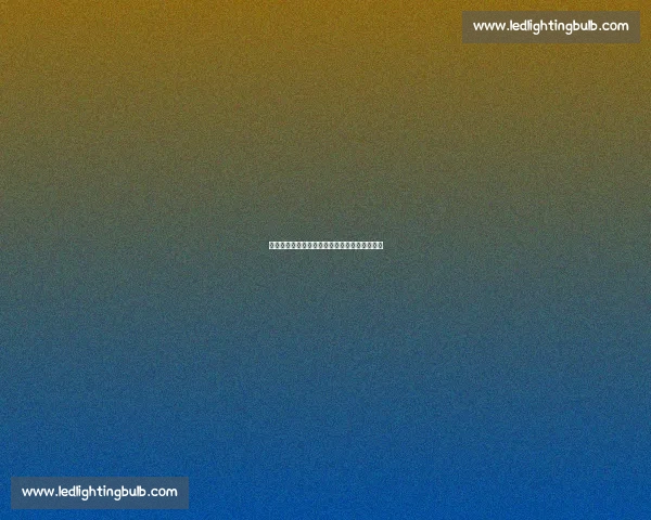 郑钦文新战靴亮相！今夜对决莱巴金娜冲击冠军