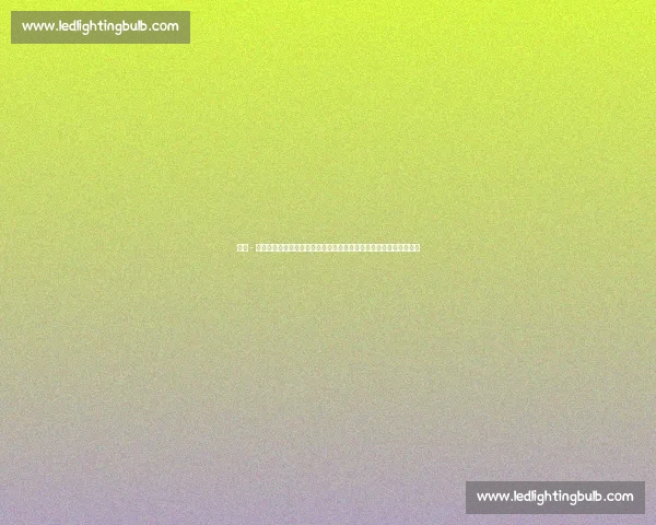 泰勒 - 亚当斯:理解普利希奇的选择,专注自我状态助力美国队冲击世界杯