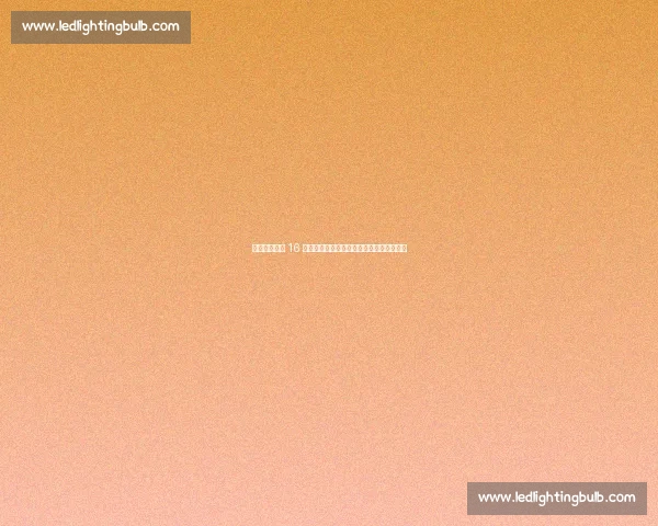 曼城截胡维拉 16 岁中场天才！劳里加盟开启蓝月青训新篇章