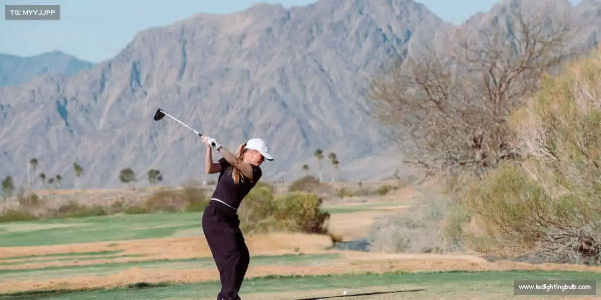 行业领先的理由